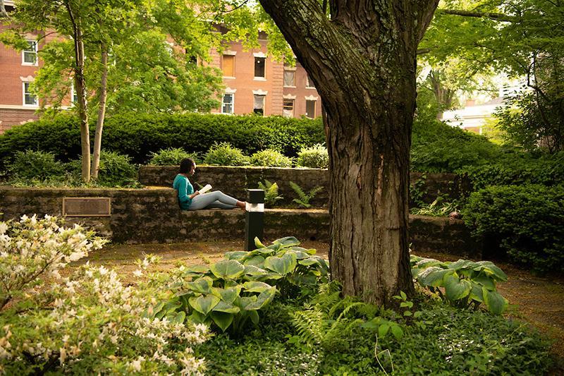 A student sits in Wolfe Garden studying, surrounded by lush greenery and lanscape